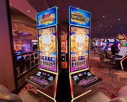 5008 bet app