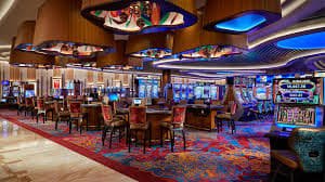 5008 bet app